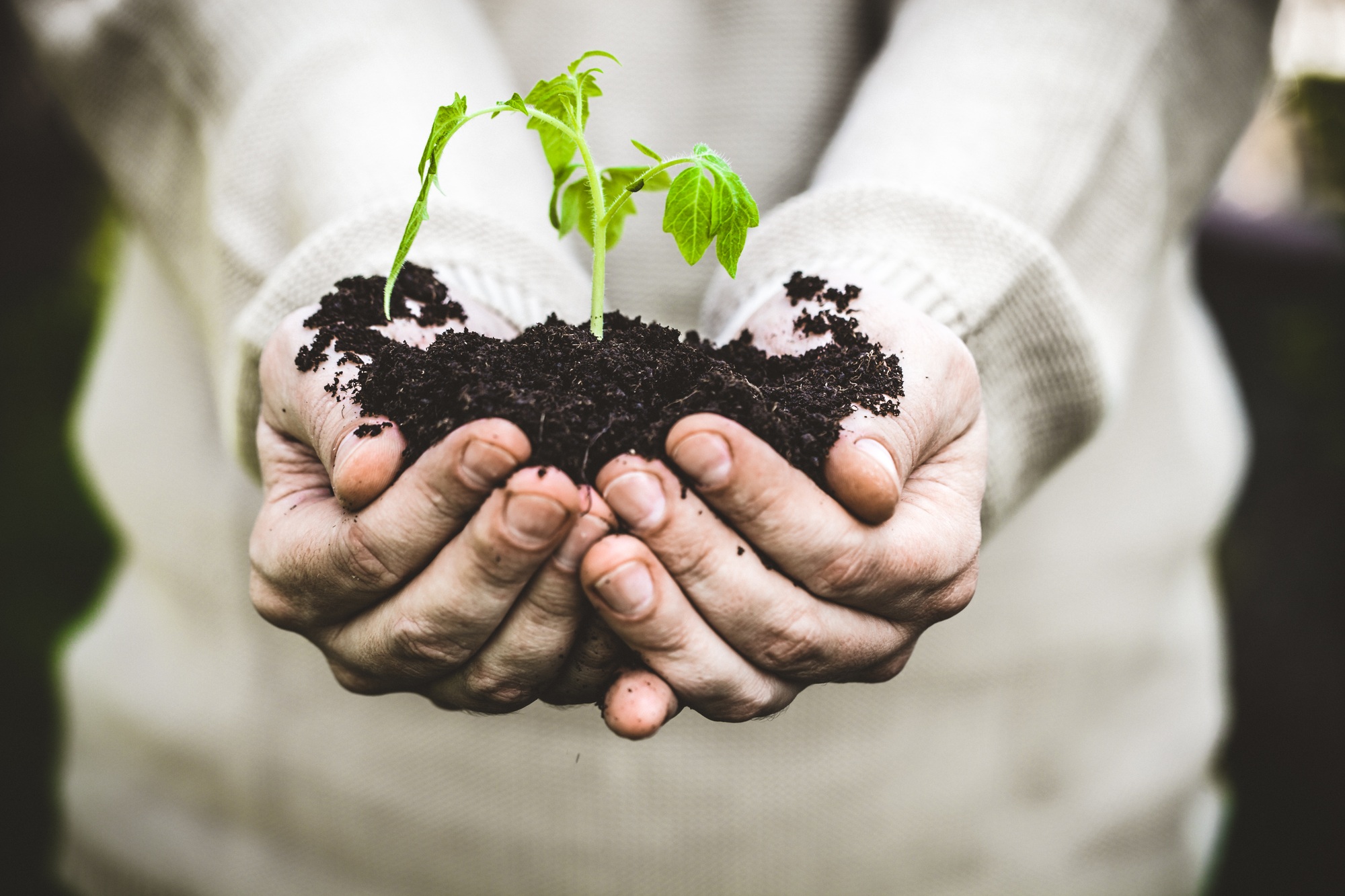 Horticultural Industry Training