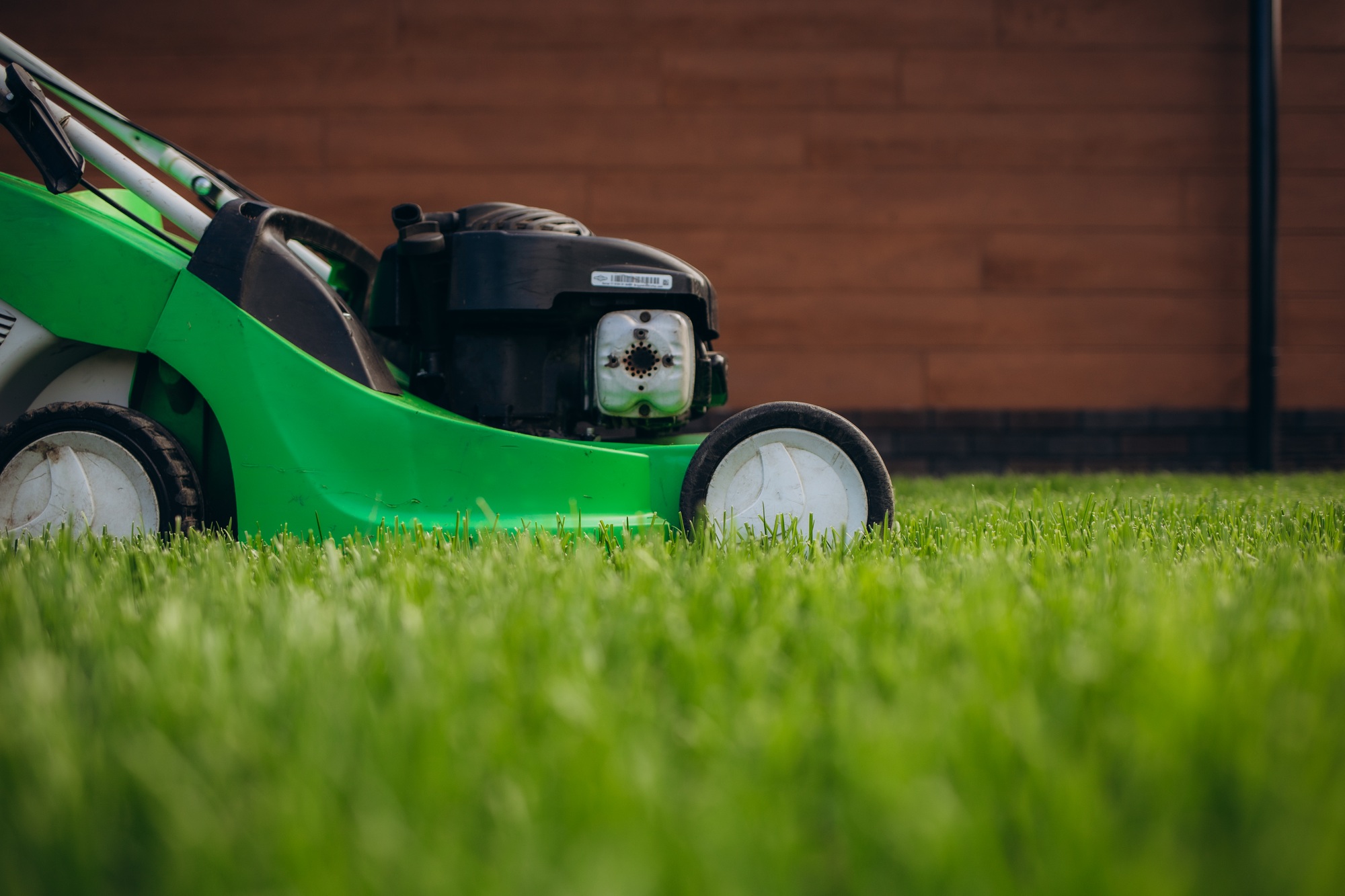 Close up of mower cutting the grass.